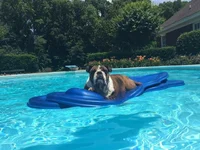 Blanche_pool.webp Blanche_pool.webp