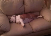 CAM02206-1-1.webp