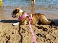 20160626_174855.webp 20160626_174855.webp