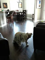IMG_20170714_143326831.webp