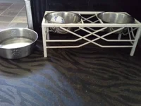 Bowl.webp