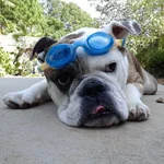 Tony At Pool.webp