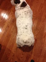 snow 1.2013 010.webp