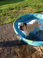 May pool fun 003.webp