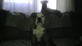 IMAG0612.webp