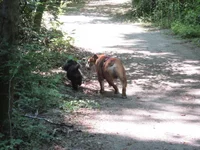 IMG_0205.webp
