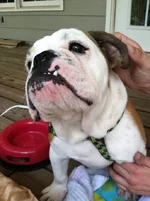 Aubrey2.webp