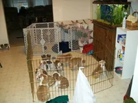 001.webp