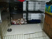 005.webp
