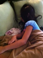 photo-16.webp