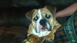 2012-03-08_20-19-38_875.webp