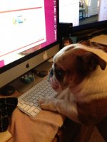 Karly online.jpg Karly online.jpg