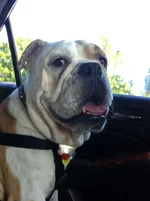 photo-15.webp