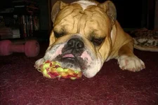 Bryce's Cell Pictures 057.webp