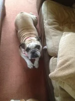 photo (1).webp