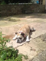 photo (2).webp