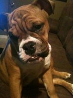 IMG_0628.jpg IMG_0628.jpg