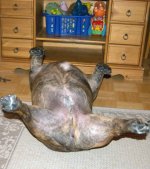 DSC_0239.NEF.jpg DSC_0239.NEF.jpg