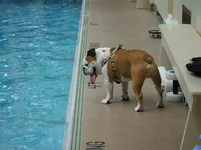 may 13, 2012 002.webp may 13, 2012 002.webp