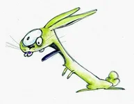 crazy rabbit1.webp