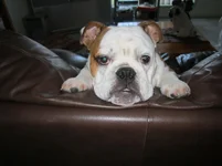 I know i'm not allowed on here.webp