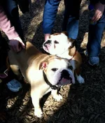 LolaDiesel.webp LolaDiesel.webp