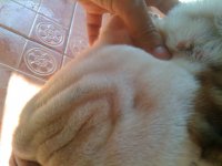 IMG_0992.jpg IMG_0992.jpg