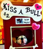 kissabull.jpg