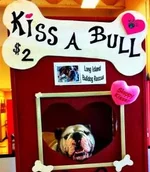 kissabull.webp