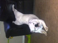 uploadfromtaptalk1337125100551.webp