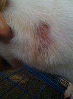 IMG_0998.jpg IMG_0998.jpg