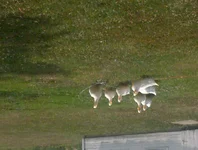 2012-07-15 11_0.webp