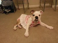 20120807_000349.webp