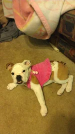 IMAG1223.webp