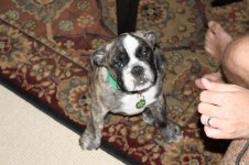 IMG_2182.jpg IMG_2182.jpg