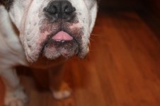 IMG_0399.jpg IMG_0399.jpg