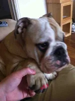 ImageUploadedByTapatalk1348126051.705784.webp