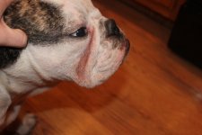 IMG_0400.jpg IMG_0400.jpg