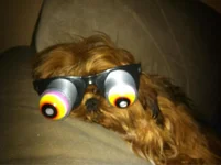 ImageUploadedByTapatalk1331652163.333958.webp
