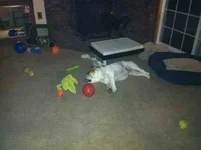 ImageUploadedByTapatalk1348194005.944535.webp