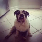 hank kitchen.webp