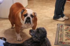 gunny and foster.jpg