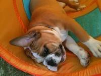 Otis - tunnel.webp