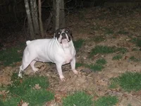 Roxy092-A.webp