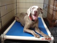 crate-bed-2.jpg crate-bed-2.jpg