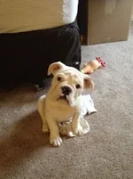 ImageUploadedByTapatalk1331738019.043682.webp