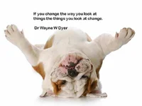 ImageUploadedByTapatalk1348457569.114395.webp