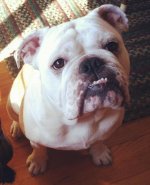 photo-10.jpg photo-10.jpg