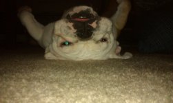 IMAG0610.jpg