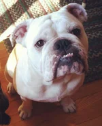 photo-10.webp
